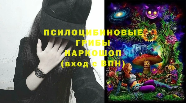 стаф Верея