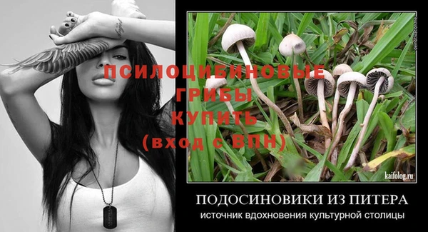 ешки Каменск-Шахтинский