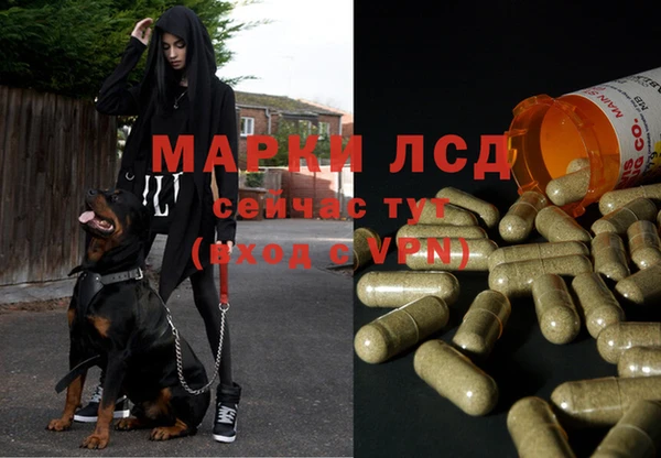эйфоретик Бронницы