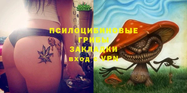 скорость Богородицк