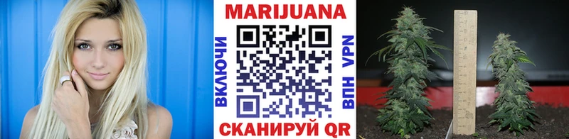 наркотики  маркетплейс официальный сайт  omg ссылки  МАРИХУАНА OG Kush  Зерноград 